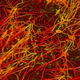 Illustration for article titled How to build a brain with neural networks